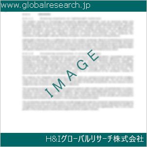 グローバルリサーチ調査資料のイメージ